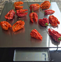 Slow Dried Ghost Peppers, Free Shipping!