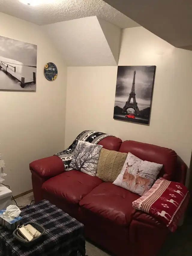 1 bedroom 1 bathroom Basement suite for rent in Martindale NE