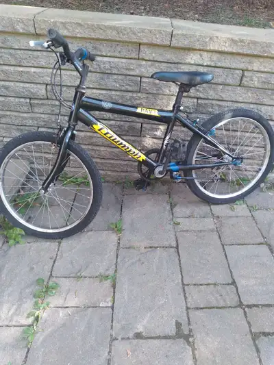 vélo enfant 20 po,Raleigh, View more