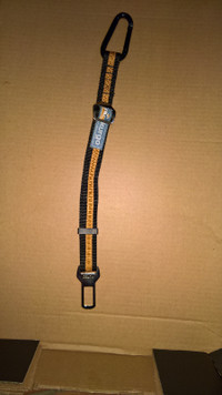 Kurgo Direct To seat belt Tether for Dogs,