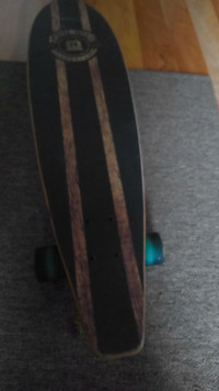 pin tail skate board