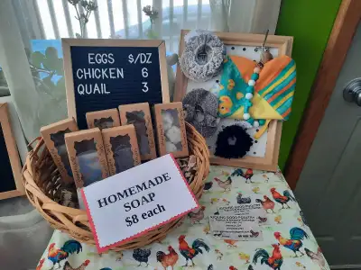 We have homemade and farm fresh items. Antibiotic and non GMO fed roaster chickens, chicken eggs, qu...