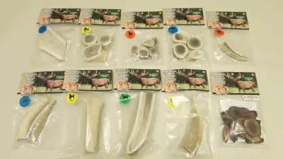 Antler Chews, View more