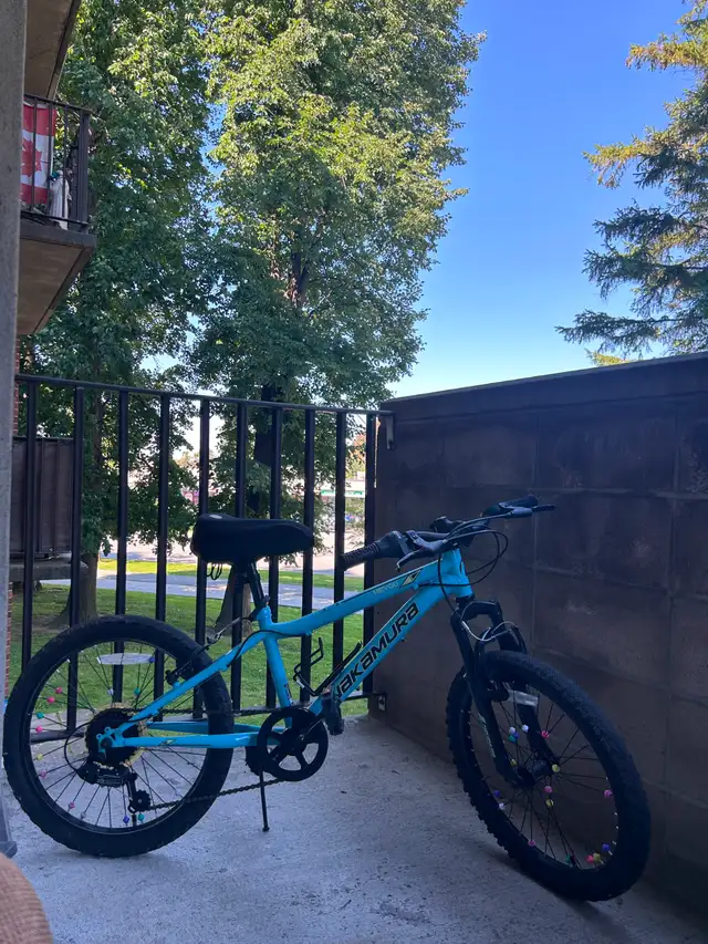 Youth Bike/Bicycle in Kids in Ottawa - Image 2
