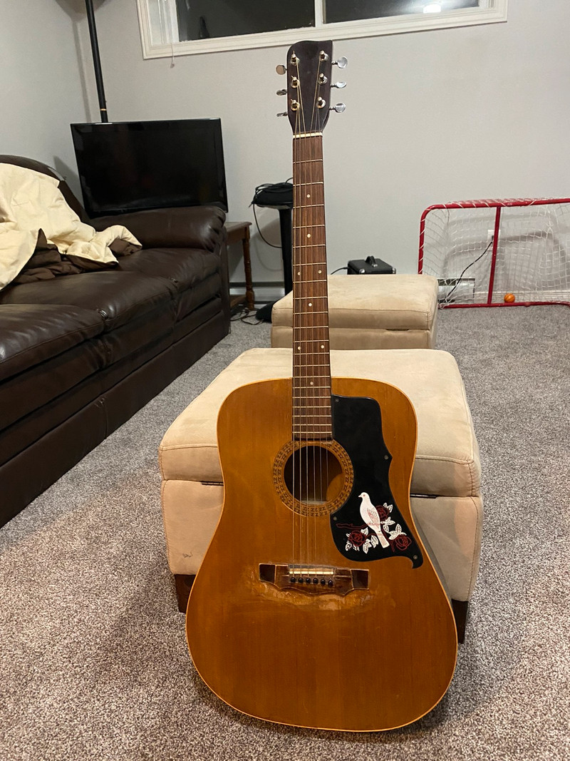 Dove acoustic guitar for sale  