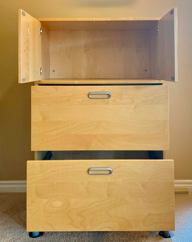 Filing Cabinet with Storage in Bookcases & Shelving Units in Ottawa - Image 2