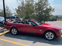 2009 Mustang Convertible V-6 style & thrifty. Excellent
