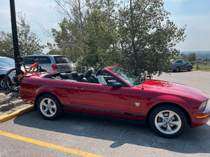 2009 Ford Mustang Pony