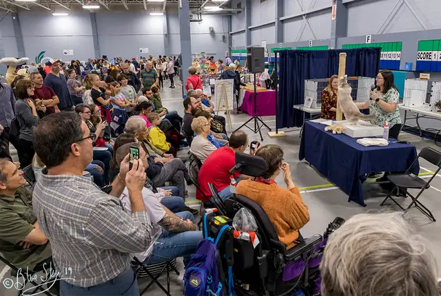 Ottawa Cat Show561546786673807364