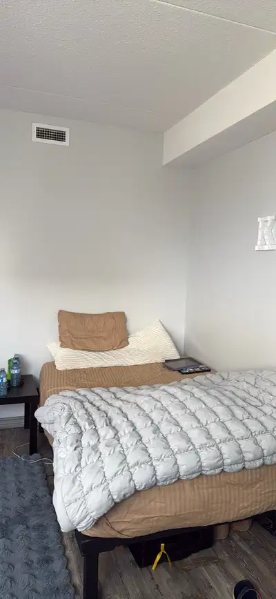 Private Room Available for Lease Takeover 1020/Sublet 599 Spacious and bright private room available...