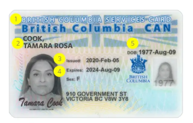 Lost , Photo ID Cards63611980365953120