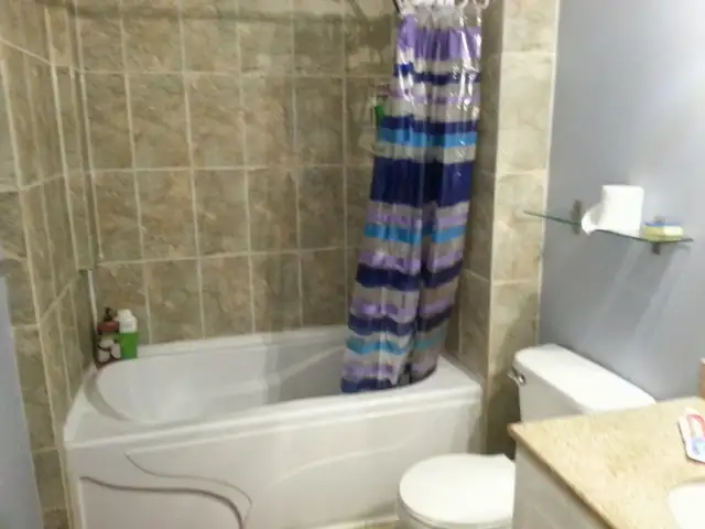 Near York University - Room for Rent in Room Rentals & Roommates in City of Toronto - Image 5