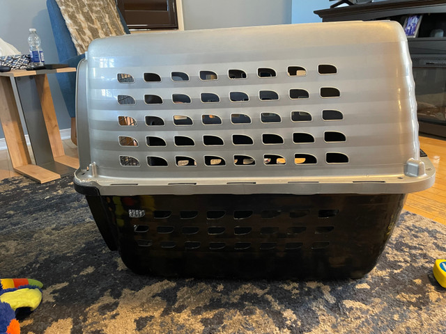 Petmate dog crate in Accessories in Gatineau - Image 4