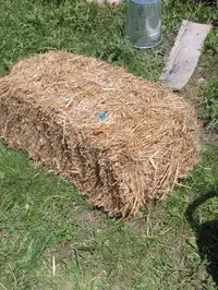 Clean Straw for sale by the bale or by the lb