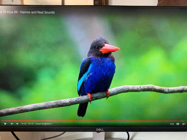 Dell 4K 27inch IPS monitor in Monitors in Calgary - Image 2