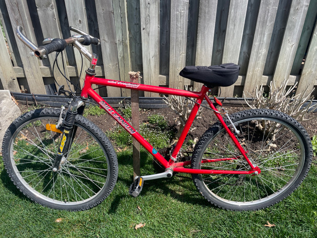 Millennium bicycle  in Mountain in Oakville / Halton Region