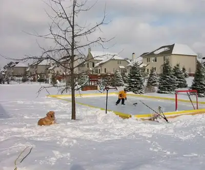 20x40 NiceRink, View more