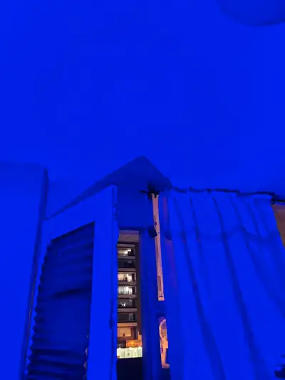 240 per week private room downtown