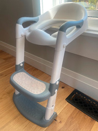 Potty training toilet seat with ladder