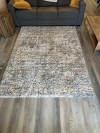 Area Rug 1 month old