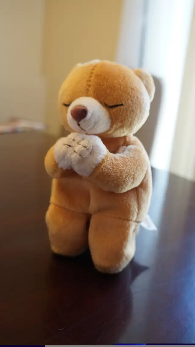 BEANIE BABYS in Other in Norfolk County - Image 3