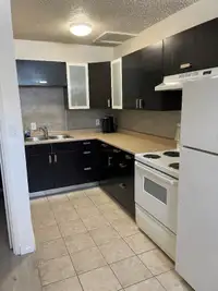 Furnished Bachelor Apartment for Rent - Students welcome - ALLIN