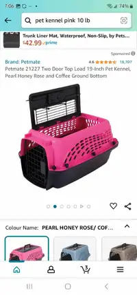 Cat or small dog carrier