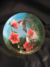 Kevin Daniel China Collector Plates The Hummingbird