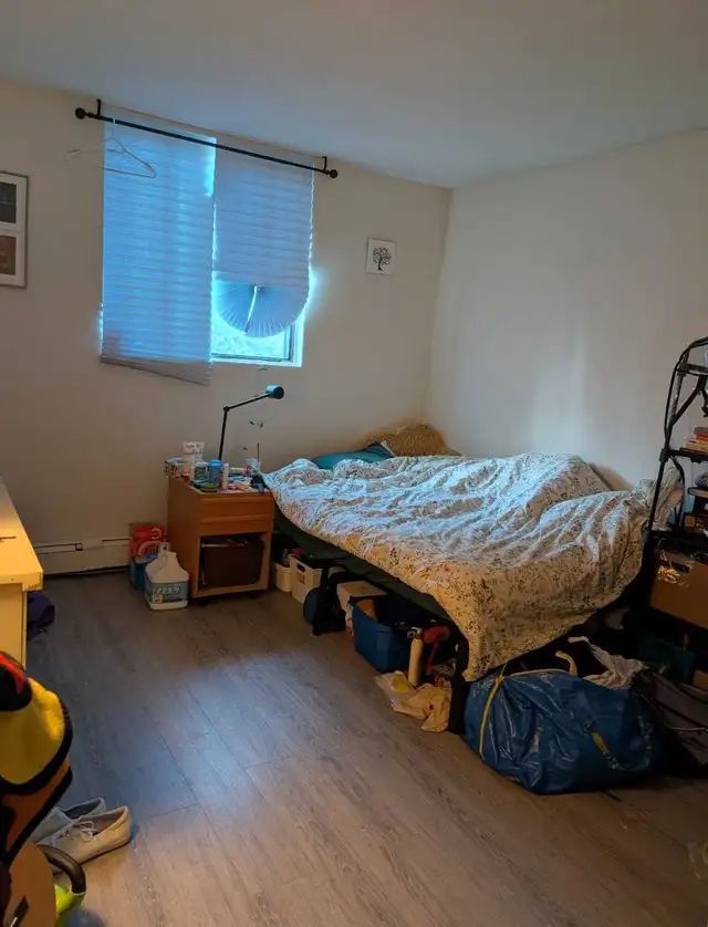 Looking For A Roommate