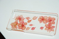 IPHONE 4 - NEW CASE -  dry real FLOWERS
