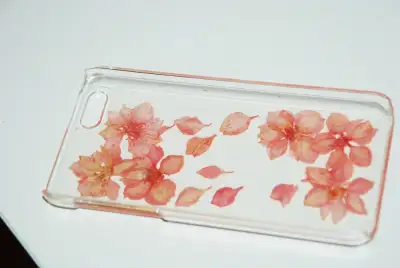 IPHONE 4 - NEW CASE -  dry real FLOWERS, View more