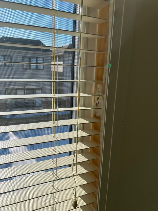 Room for rent Room Rentals & Roommates Pembroke Kijiji