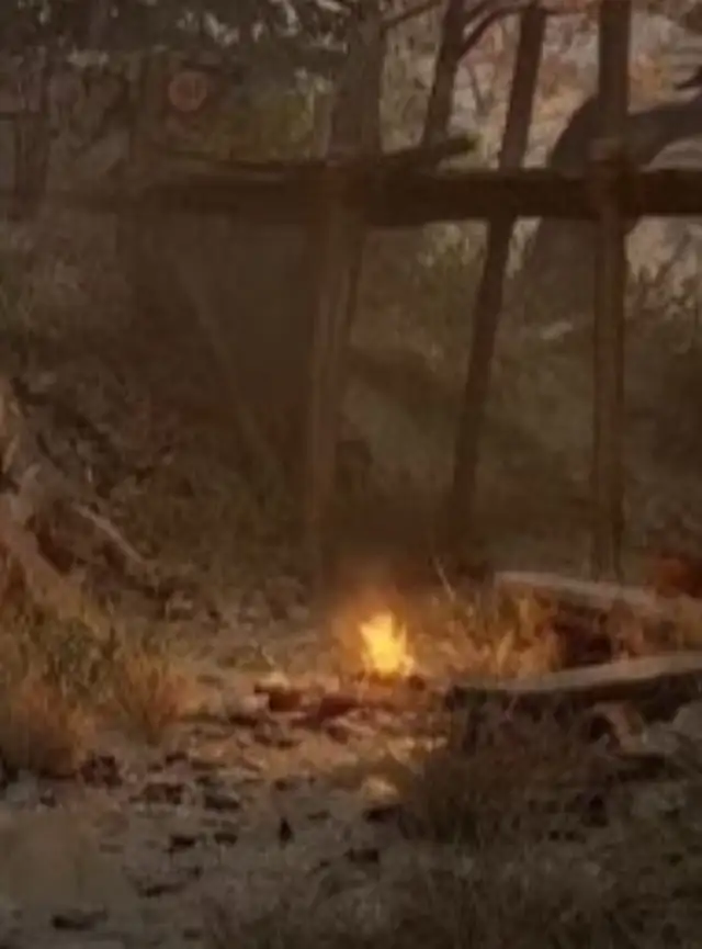 campfire wood $162863732265346123