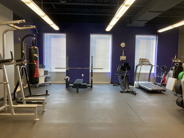 Semi-Private Gym Space Exclusively for Personal Trainers – $10 in Fitness & Personal Trainer in Oakville / Halton Region - Image 4