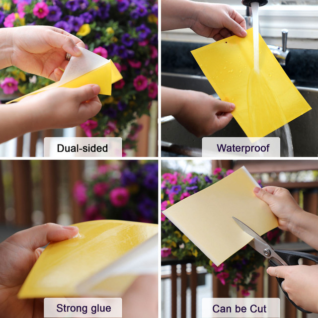 Yellow Sticky Traps in Other in Oakville / Halton Region - Image 3