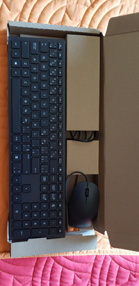 HP Keyboard and mouse wired
