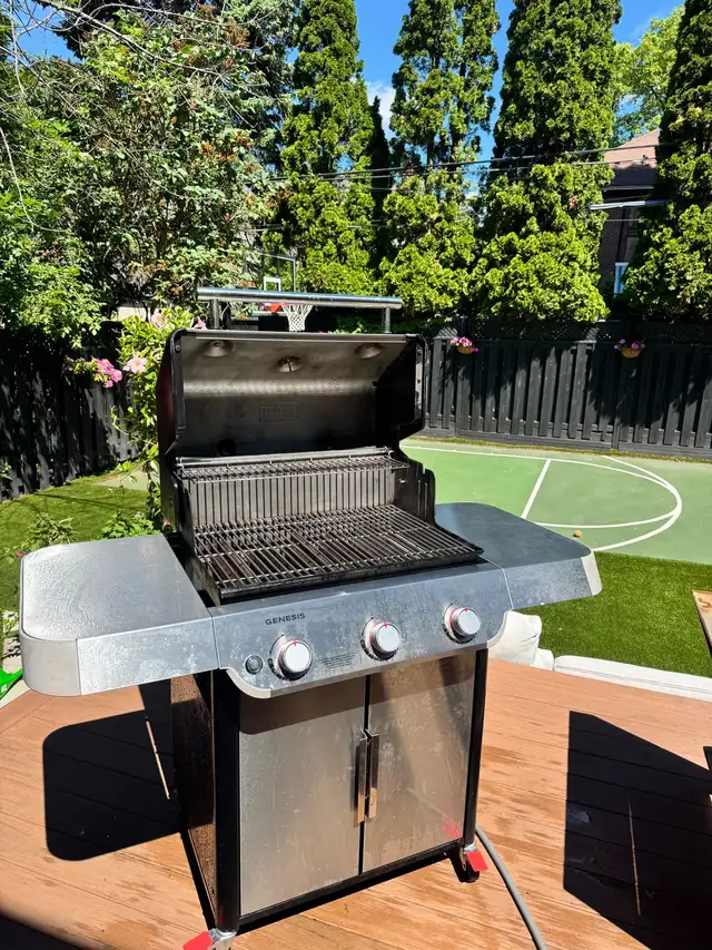 BBQ CLENAING - I MAKE YOUR BBQ LOOK LIKE NEW in Cleaners & Cleaning in City of Toronto - Image 9