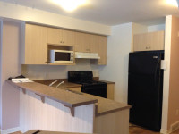 DOWNTOWN MARKET: 3 BR CONDO FOR RENT ***including water