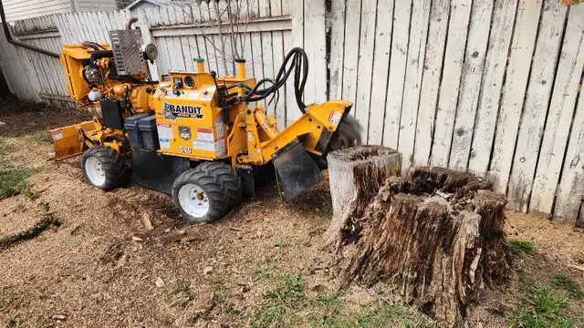 Quality Low Cost Stump Grinding in Lawn, Tree Maintenance & Eavestrough in Saskatoon - Image 5