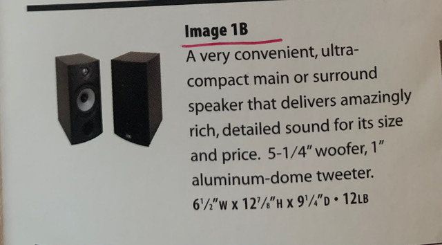 PSB Image 1B speakers  in Speakers in Oshawa / Durham Region - Image 3