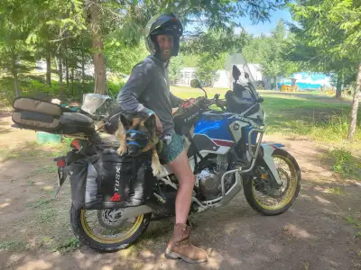 FOR SALE: 2018 Honda Africa Twin Adventure Sports – 30th Anniversary Edition (CRF1000L) Salmon Arm -...