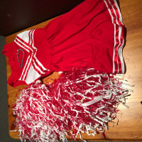 Halloween Costume- Cheerleader High School Musical