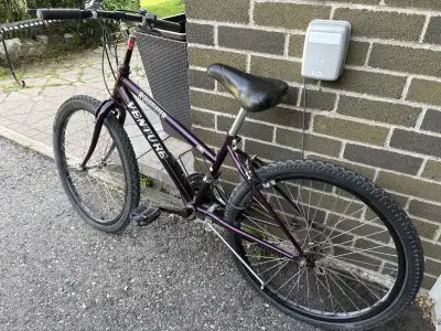 Ladies Mountain Bike 24”, View more