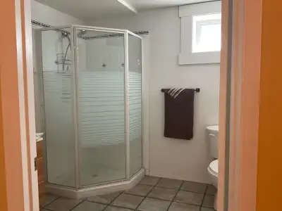 One bedroom basement suite for rent