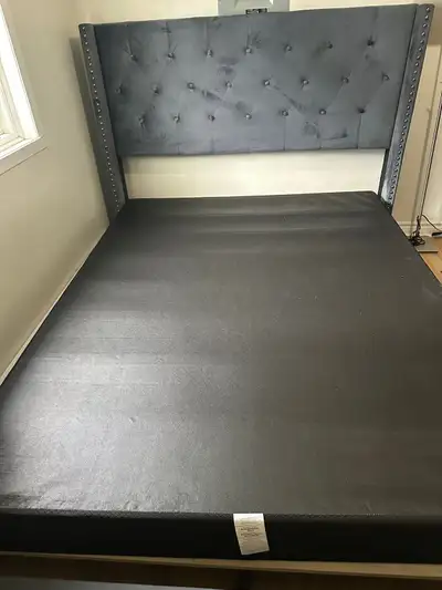 lit queen , View more