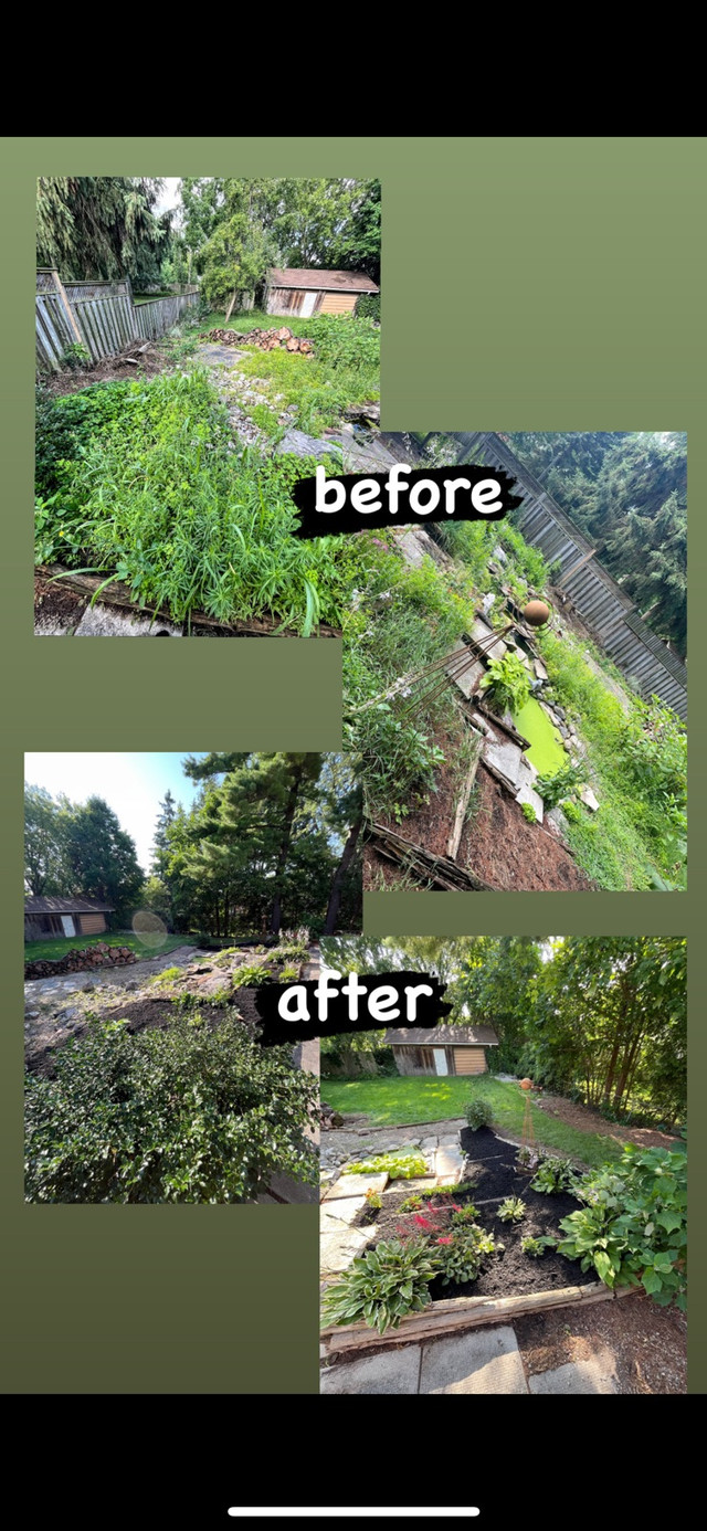 Spring clean up (Garbage runs, Dog-Poo Removal)  in Lawn, Tree Maintenance & Eavestrough in Woodstock - Image 2
