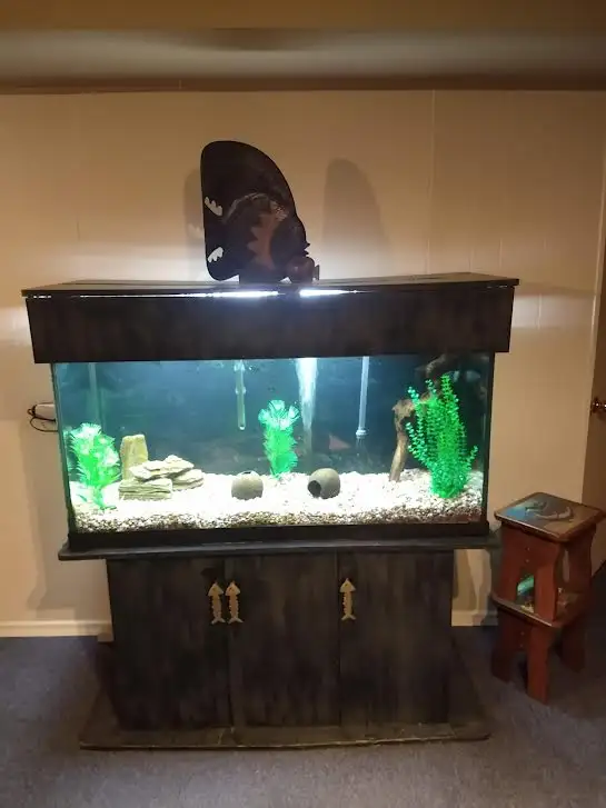 Aquarium a vendre avec toute l'équipement inclus 500 $ in Other in Laval / North Shore - Image 2