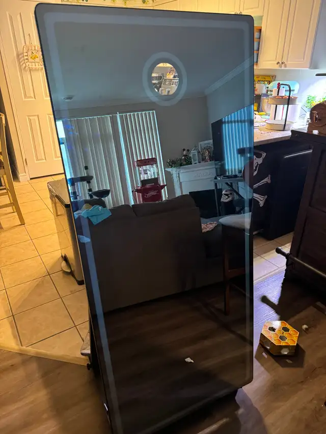 65″ Magic Mirror Photo Booth Package + NEW DNP DS620A Printer | General ...