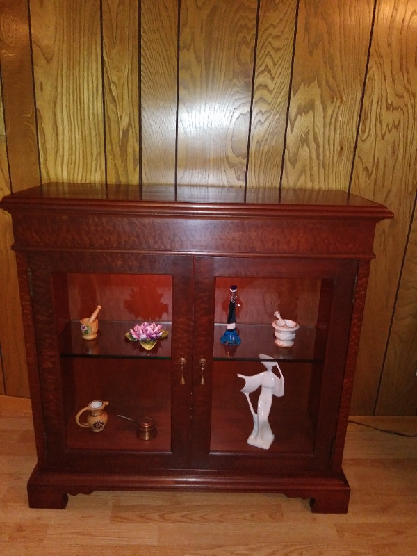 Display cabinet (Markham rd. south of 401) in Hutches & Display Cabinets in City of Toronto - Image 3