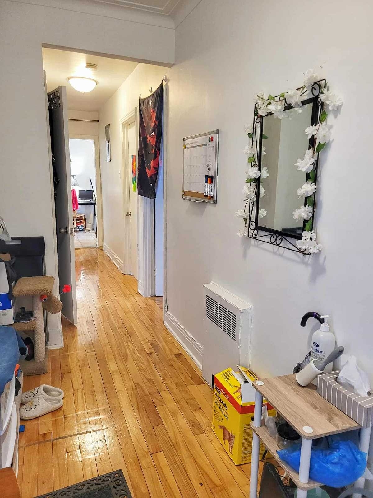 Looking for roommate to share sunny 4 1/2 next to park in NDG — photo 3